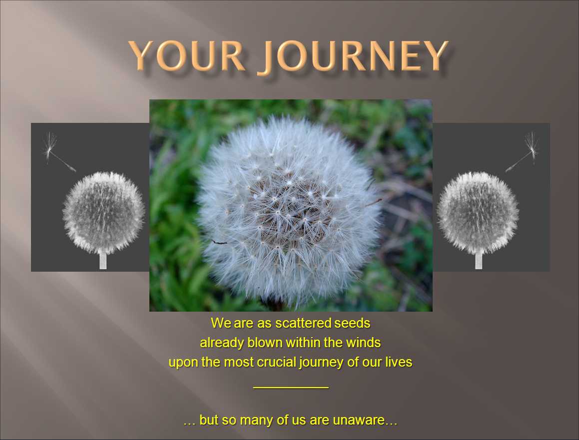 your journey
